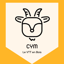 velo en bois